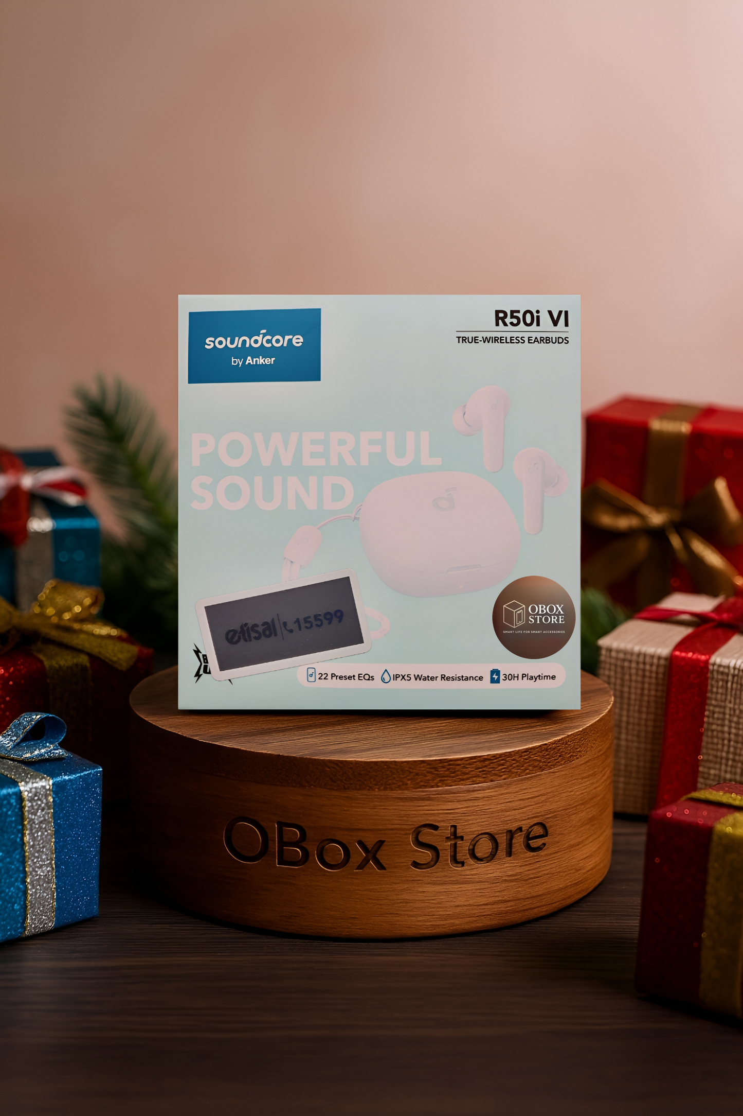 Anker Soundcore R50i